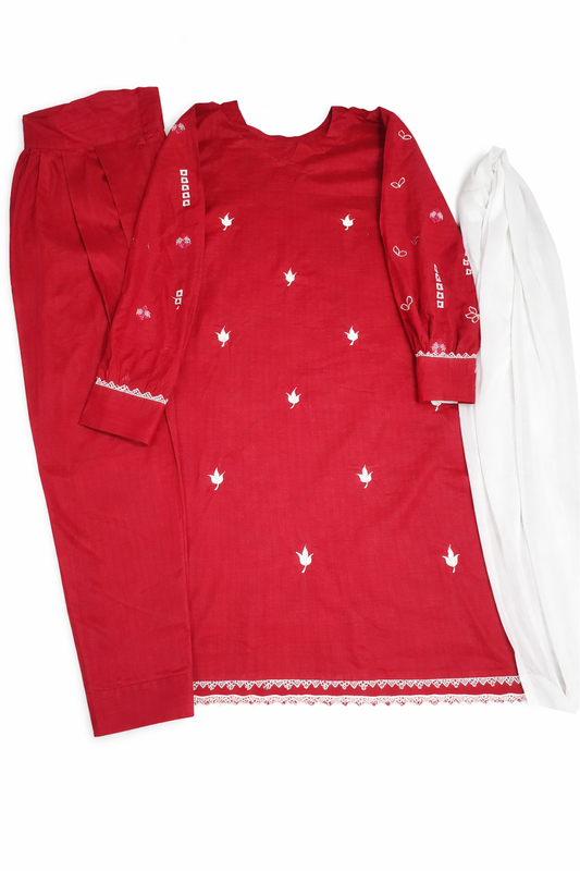 Women 3pcs stiched lawn