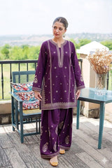 Red Embroidered Suit
