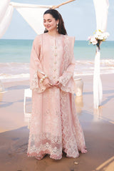 Light Baby pink Color Embroidered Fancy Suit