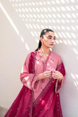 Baby Pink Suit with Red & White Embroidery